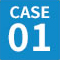 case1